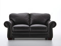 Divano a due posti - Pelle-Legno - 175 x 91 x 91 cm - Nero - Stile classico con braccioli arrotolati